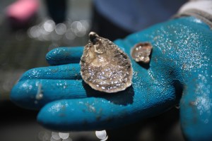 Photograph by Steve Earley