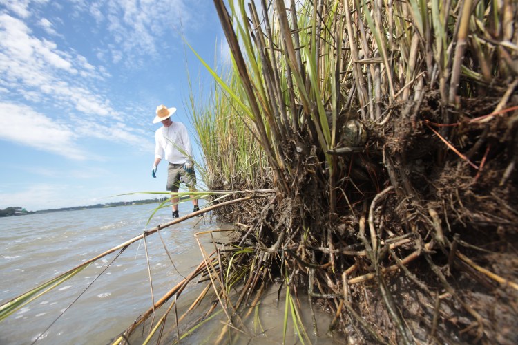 Photograph by Steve Earley