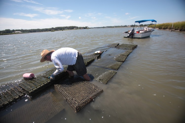 Photograph by Steve Earley