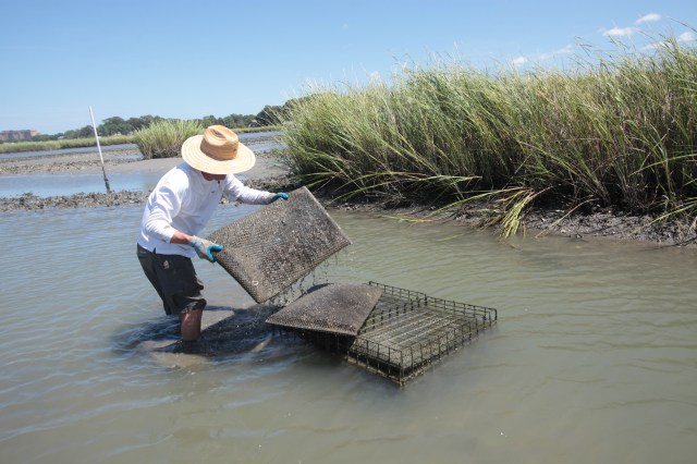 Ludford Brothers Oyster Company