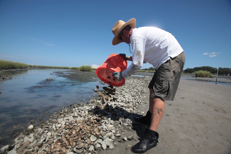 Photograph by Steve Earley