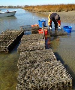 Healthy Lynnhaven is vital