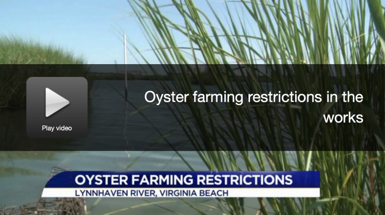 Click to view WTKR coverage